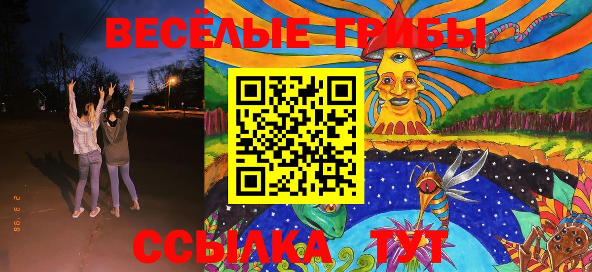 Галлюциногенные грибы Cubensis Альметьевск